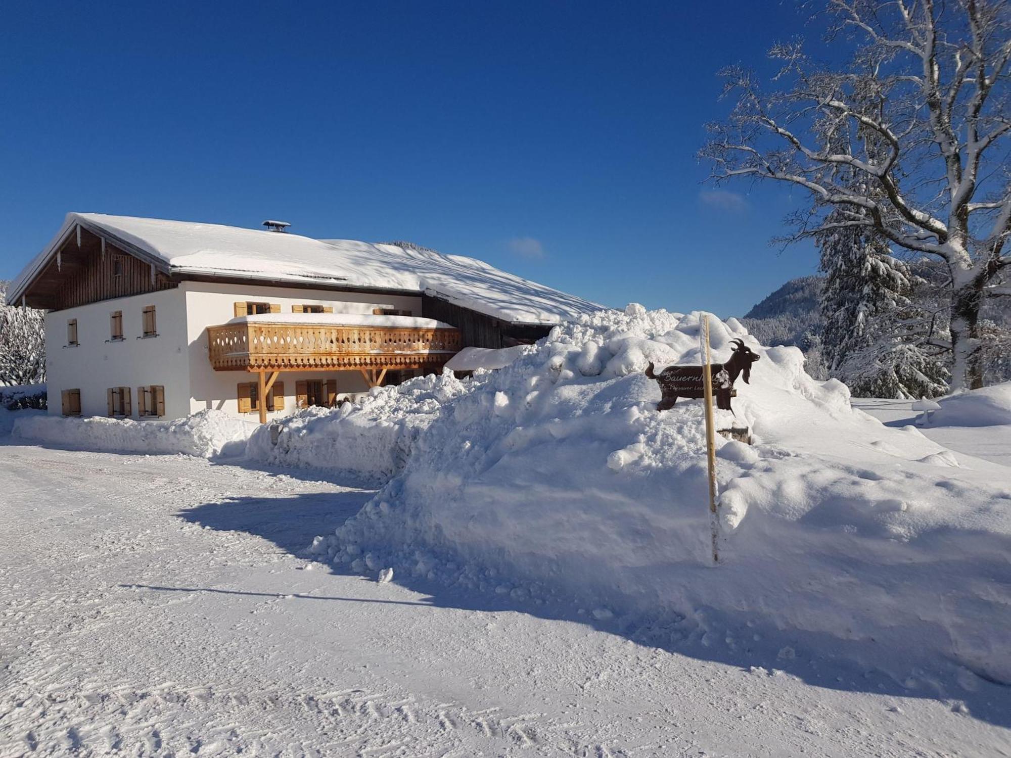 Bauernlodge Musauer Lechauen Exterior foto